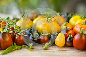 Variety of different rare tomatoes