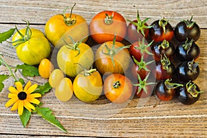 Variety of different rare tomatoes