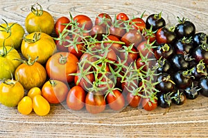 Variety of different rare tomatoes