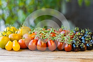 Variety of different rare tomatoes