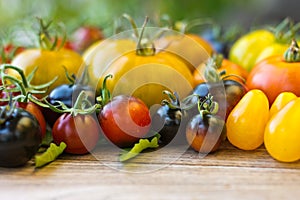 Variety of different rare tomatoes