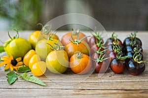 Variety of different rare tomatoes