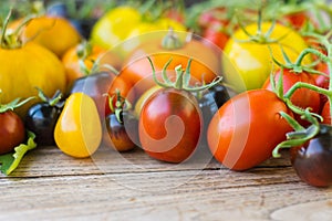 Variety of different rare tomatoes