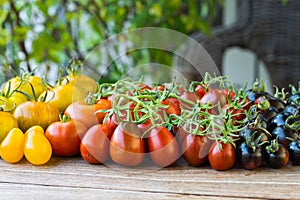 Variety of different rare tomatoes