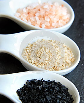 Variety of Different Sea Salts