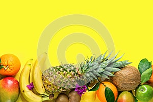 Variety of Different Tropical and Seasonal Summer Fruits. Pineapple Mango Coconut Citrus Oranges Lemons Apples Kiwi Bananas