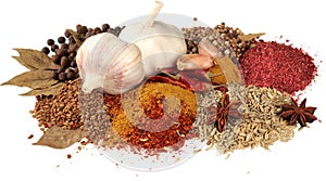 Variety of Dried Spice - Isolated