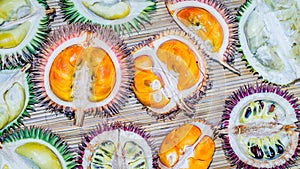 Variety of durian fruit that grow in Borneo