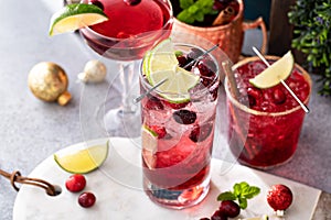 Variety of festive Christmas cocktails with cranberry and lime