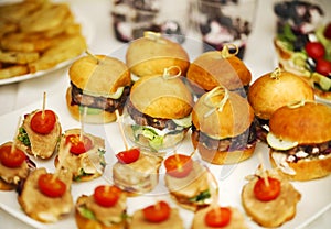 Variety of finger food on catering event