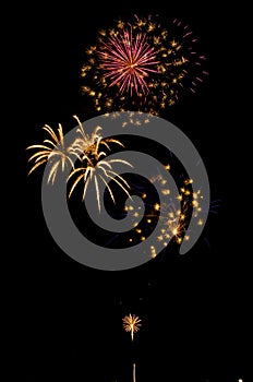 A group of fireworks exploding in the night sky