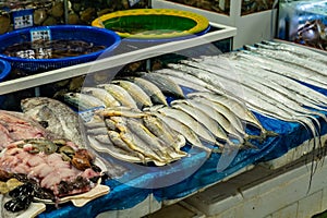 A variety of fish such as mackerel, cutlassfish, and croaker are neatly displayed