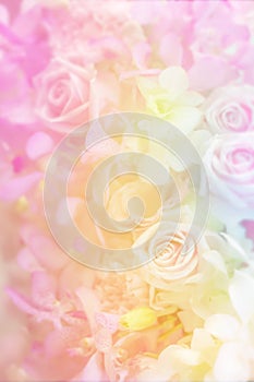 Variety flower background in pastel color