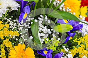 Variety of flowers create a bouquet