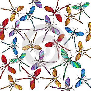Variety of flying insects on white background