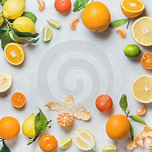 Variety of fresh citrus fruit for making juice or smoothie