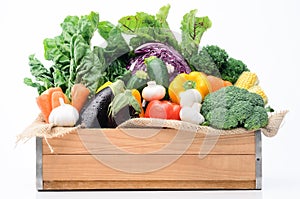 Variety of fresh colorful vegetables