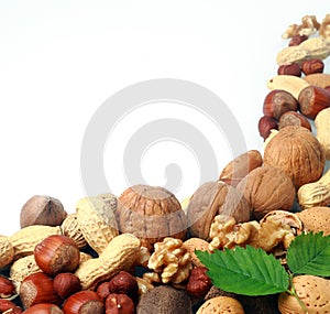 Variety of fresh culinary nuts as a border