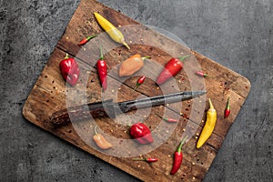 Variety of fresh and dried chili peppers