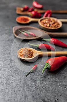 Variety of fresh and dried chili peppers