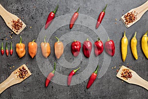 Variety of fresh and dried chili peppers