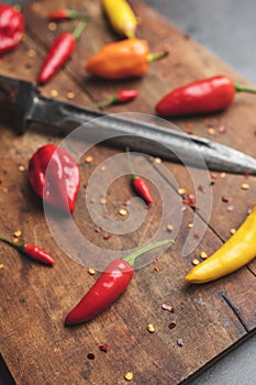 Variety of fresh and dried chili peppers