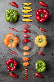 Variety of fresh and dried chili peppers