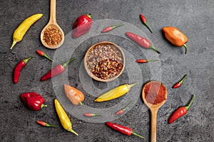 Variety of fresh and dried chili peppers