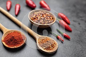 Variety of fresh and dried chili peppers