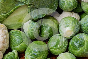 A variety of fresh Organic Vegetables including Brussels sprouts, Cauliflowers, Cabbage.