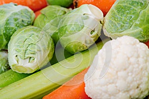 A variety of fresh Organic Vegetables including Carrots, Cabbage, Cauliflowers, Brussels sprouts.