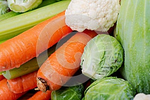 A variety of fresh Organic Vegetables including Carrots, Cabbage, Cauliflowers, Brussels sprouts.