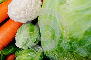 A variety of fresh Organic Vegetables including Carrots, Cabbage, Cauliflowers, Brussels sprouts.