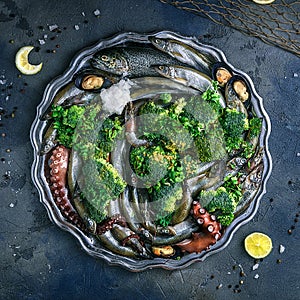 Variety of fresh seafood on a plate with green vegetables