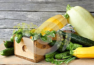 Variety of fresh spring and summer vegetables: cucumber, basil, zucchini, dill on rustic wooden background