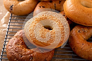 Variety of freshly baked bagels on a cooling rack