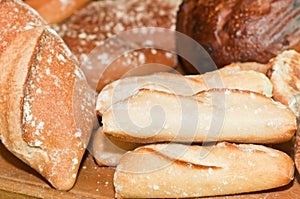 Variety of freshly baked, rolls and loafs of bread,