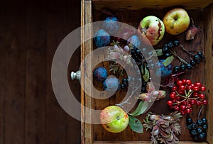 Variety of garden fruits and berries in a small wooden box, top view