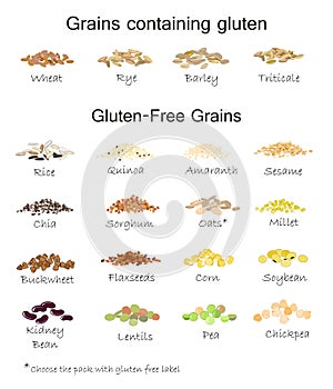 A variety of gluten free and containing gluten grains. photo