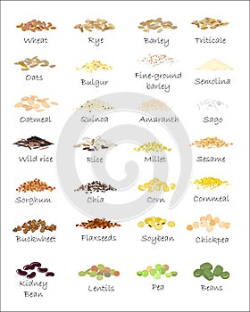 A variety of grains and cereals.