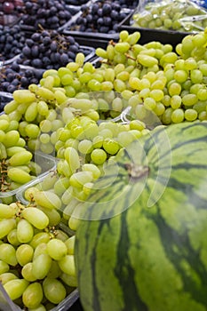 Variety of grapes and watermelon on market stall. Different sorts of grapes in basket. Heap of grapes and ripe watermelon.