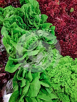 Variety of green vegetables in a supermarket. Consumption of green vegetables has increased in recent years, as more