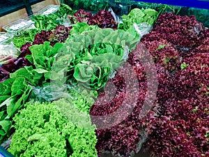 Variety of green vegetables in a supermarket. Consumption of green vegetables has increased in recent years, as more