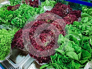 Variety of green vegetables in a supermarket. Consumption of green vegetables has increased in recent years, as more