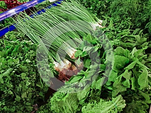 Variety of green vegetables in a supermarket. Consumption of green vegetables has increased in recent years, as more