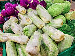Variety of green vegetables in a supermarket. Consumption of green vegetables has increased in recent years, as more