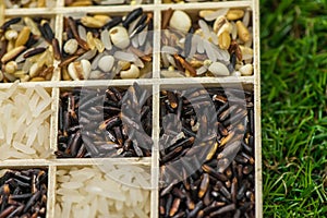 Variety of healthy grains and seeds in a wooden box mostly gluten free with rice photo