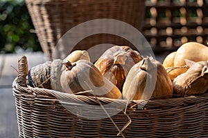 Variety of heirloom organics pumpkin, squash, gourd in rustic basket for sale in country style display market during autumn and photo