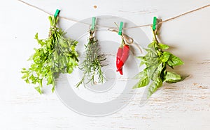 Variety herbs hanging on white background rosemary chili parsley basil