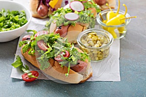 Variety of hot dogs with healthy garnishes